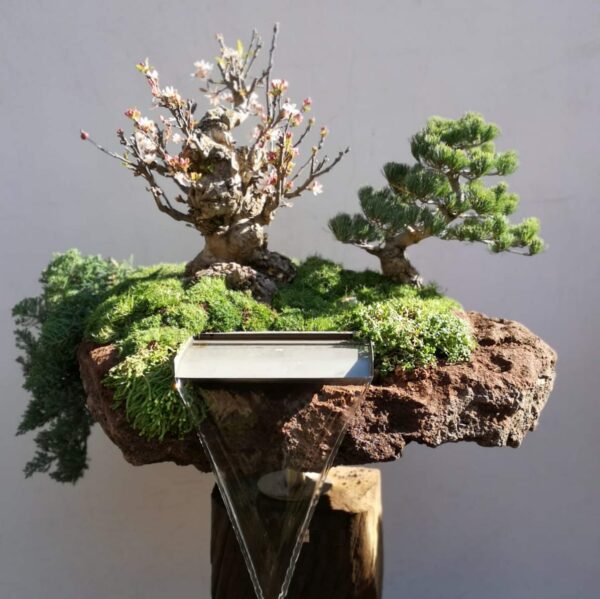 Gartenbonsai mit Wasserfall