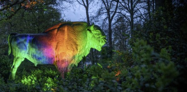 Bremen: So erstrahlt der Rhododendronpark bei Light Up! ab Freitag